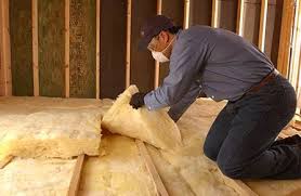 Best Eco-Friendly or Green Insulation Solutions  in Aiea, HI